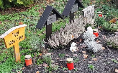 Saarbrücker Tierfriedhof bleibt Bestehen