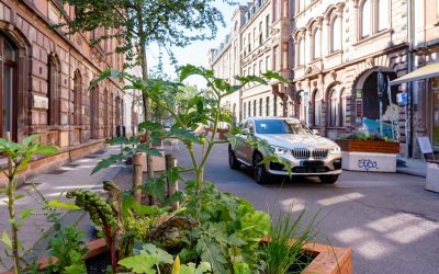 JA zu Sommerstraßen – aber richtig!