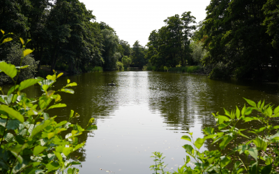 Unser Antrag wirkt: Almet wird attraktiver Naherholungsraum