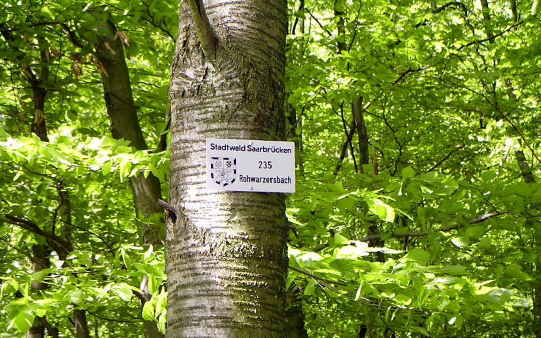 Ist Saarbrücken gewappnet?