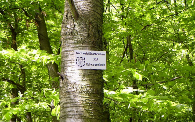 Ist Saarbrücken gewappnet?