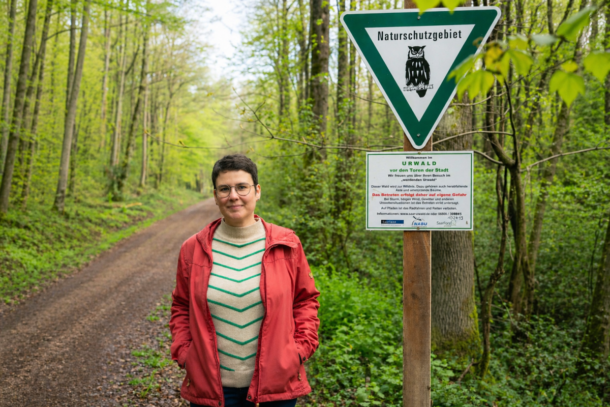 Urwald_quer